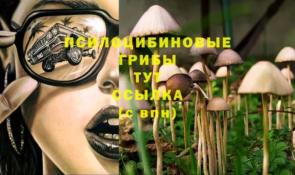 марки lsd Балабаново